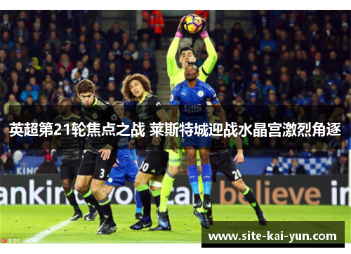 英超第21轮焦点之战 莱斯特城迎战水晶宫激烈角逐