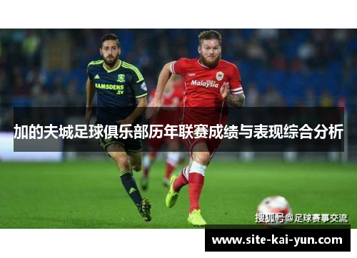 加的夫城足球俱乐部历年联赛成绩与表现综合分析