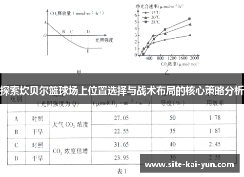 探索坎贝尔篮球场上位置选择与战术布局的核心策略分析 探索坎贝尔篮球场上位置选择与战术布局的核心策略分析