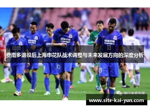 费南多退役后上海申花队战术调整与未来发展方向的深度分析