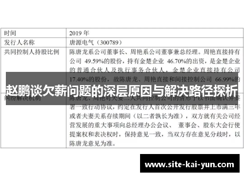 赵鹏谈欠薪问题的深层原因与解决路径探析