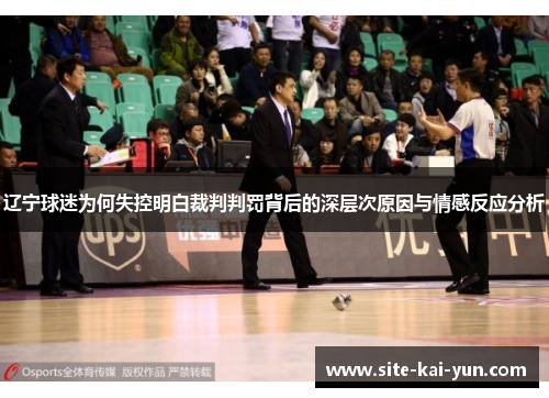 辽宁球迷为何失控明白裁判判罚背后的深层次原因与情感反应分析
