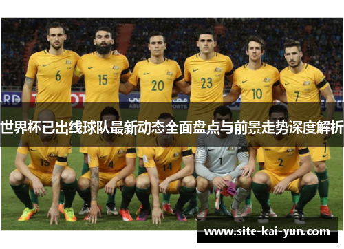 世界杯已出线球队最新动态全面盘点与前景走势深度解析